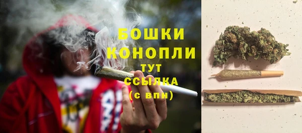 сатива Краснотурьинск