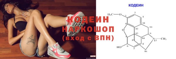 спиды Козельск