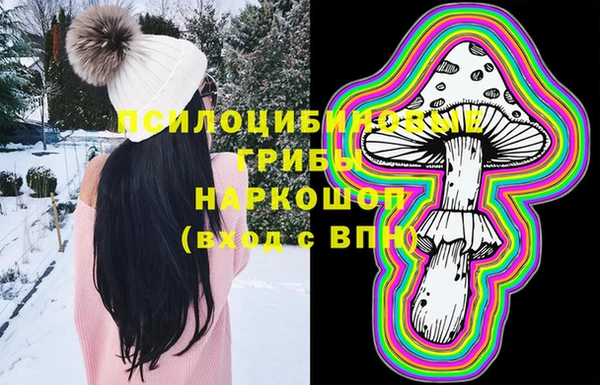 эйфоретик Козловка