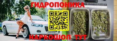 соль ск Гусев