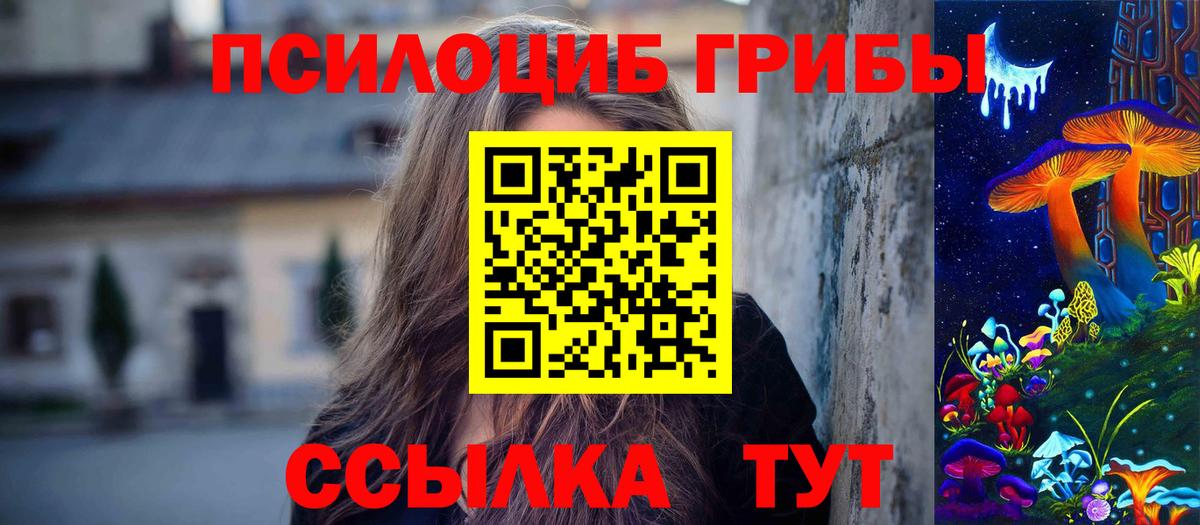 Псилоцибиновые грибы Psilocybine cubensis  Когалым 