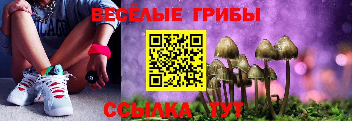 Галлюциногенные грибы MAGIC MUSHROOMS  Вход с VPN  магазин продажи наркотиков  Псилоцибиновые грибы Magic Shrooms  Когалым 
