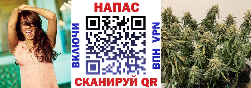 где найти наркотики  Когалым  МАРИХУАНА SATIVA & INDICA 