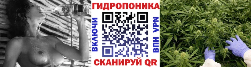 Канабис OG Kush Когалым